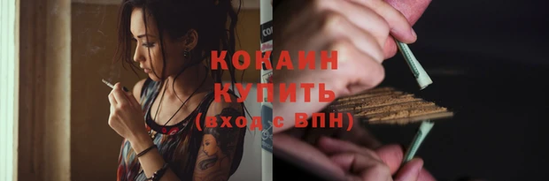 прущие грибы Нестеровская